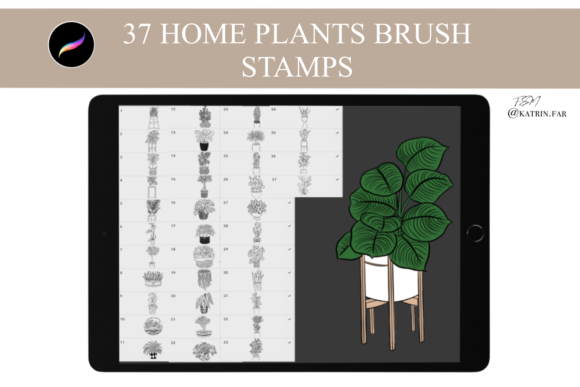 Streamlining Digital Botanical Art with Home Plants Stamps for Procreate